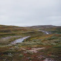 Gidge — Bleak — обложка